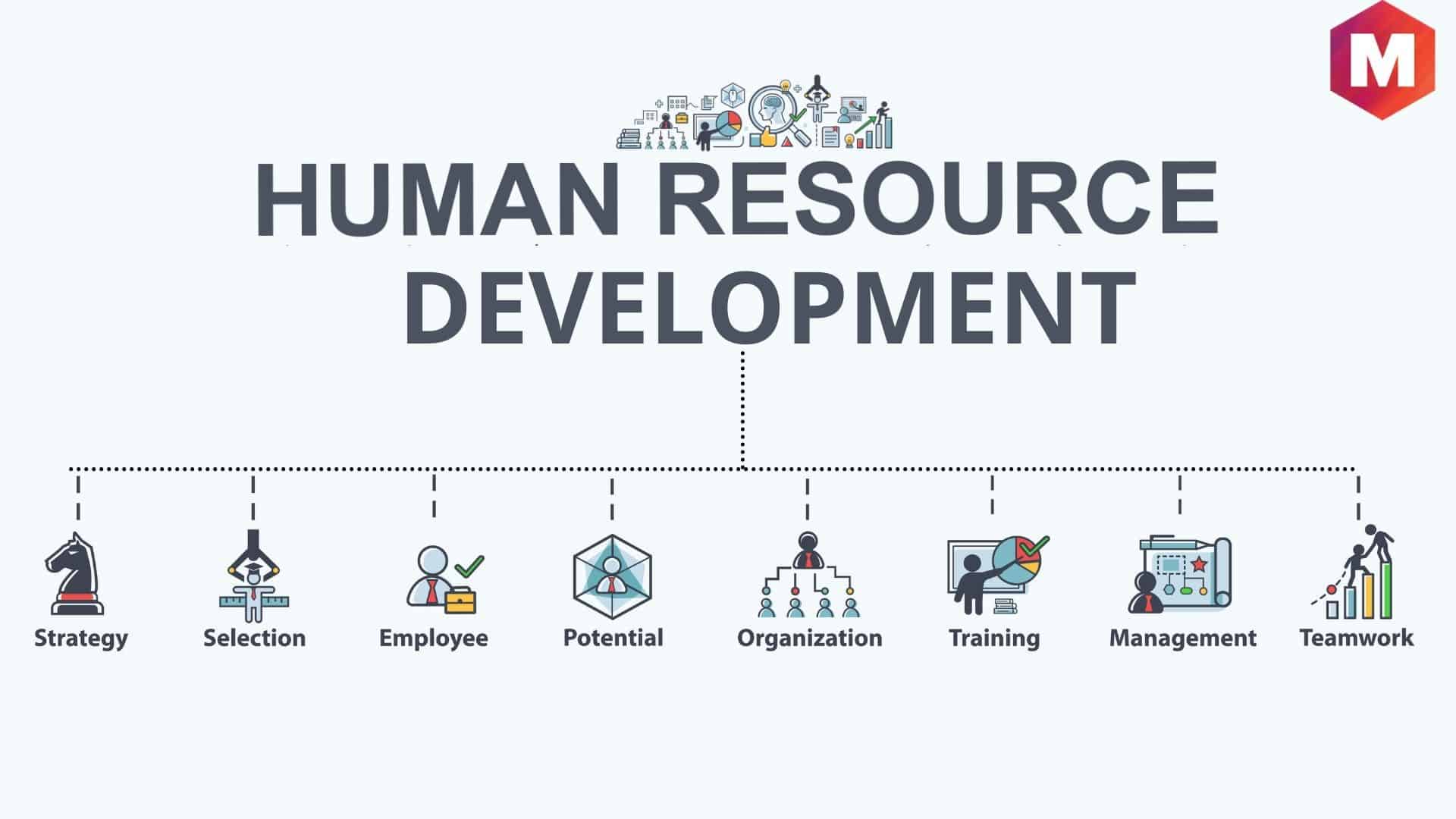 role of human resource management in education