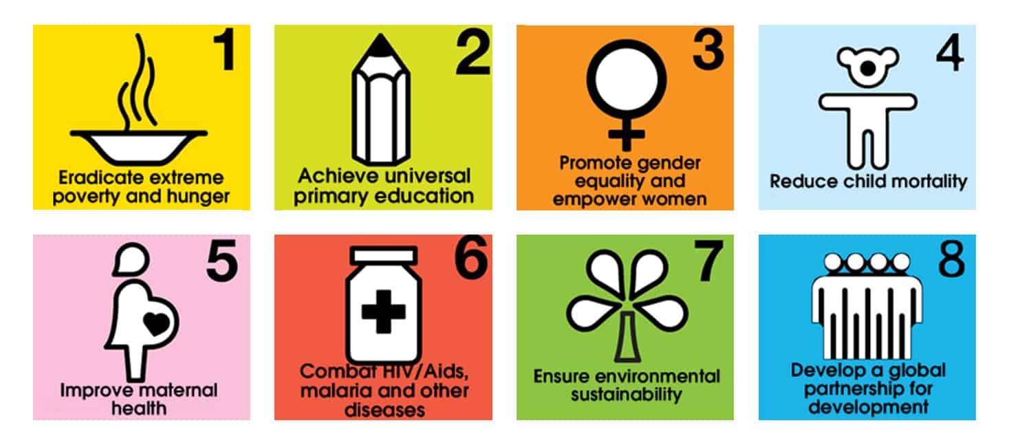 Millennium Development Goal (MDG)