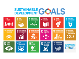 Keeping pace with this promise, along with the SDG 4 goal, the government of Bangladesh has taken various steps to achieve the goals within the stipulated time.